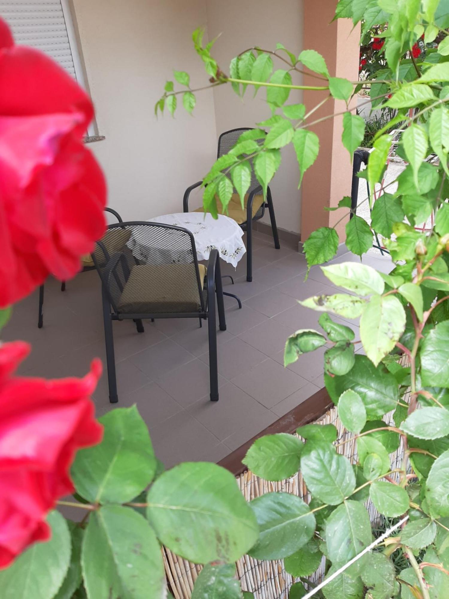 Luna Maris Apartments ซาดาร์ ภายนอก รูปภาพ