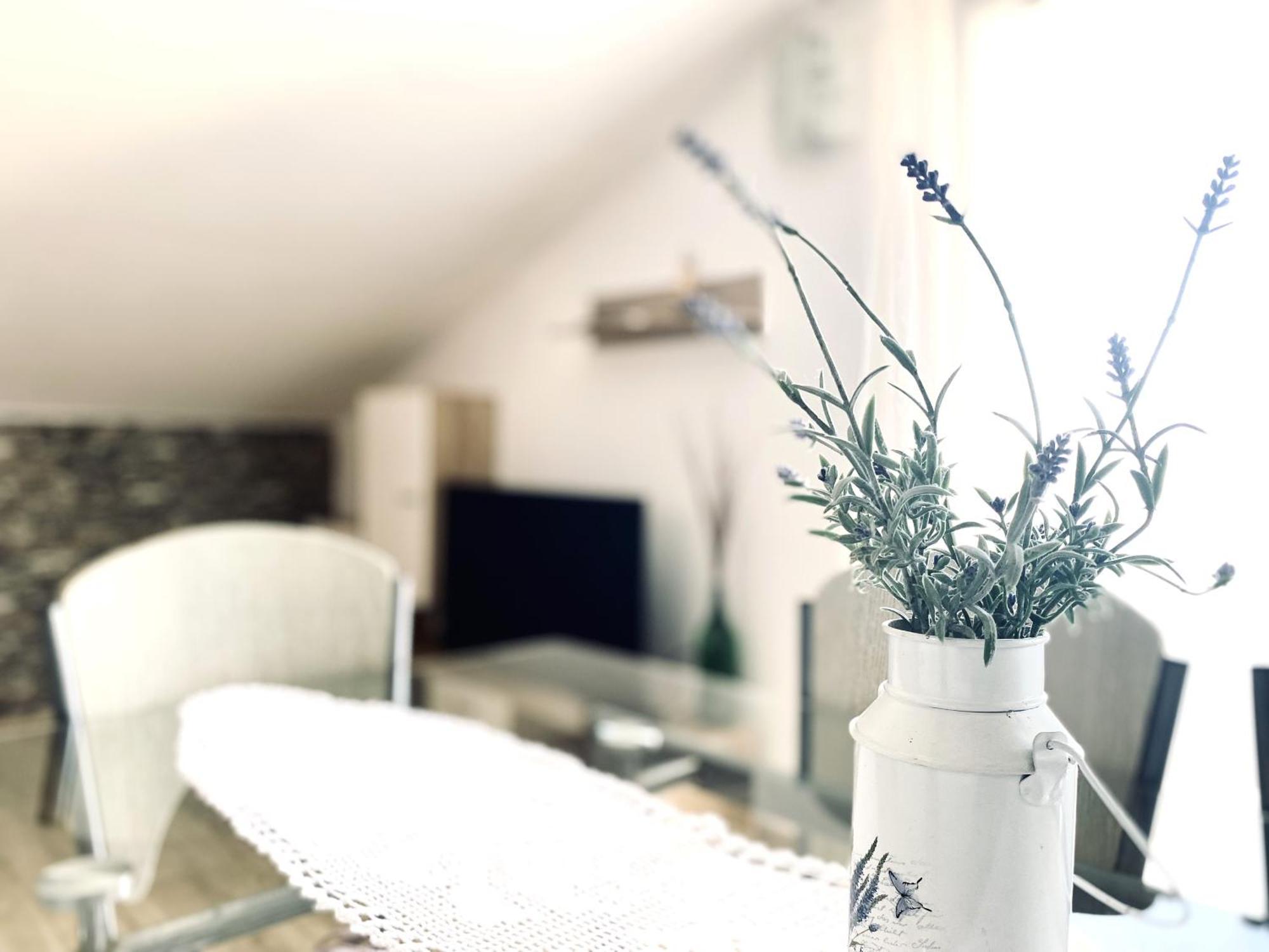 Luna Maris Apartments ซาดาร์ ภายนอก รูปภาพ